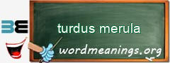 WordMeaning blackboard for turdus merula